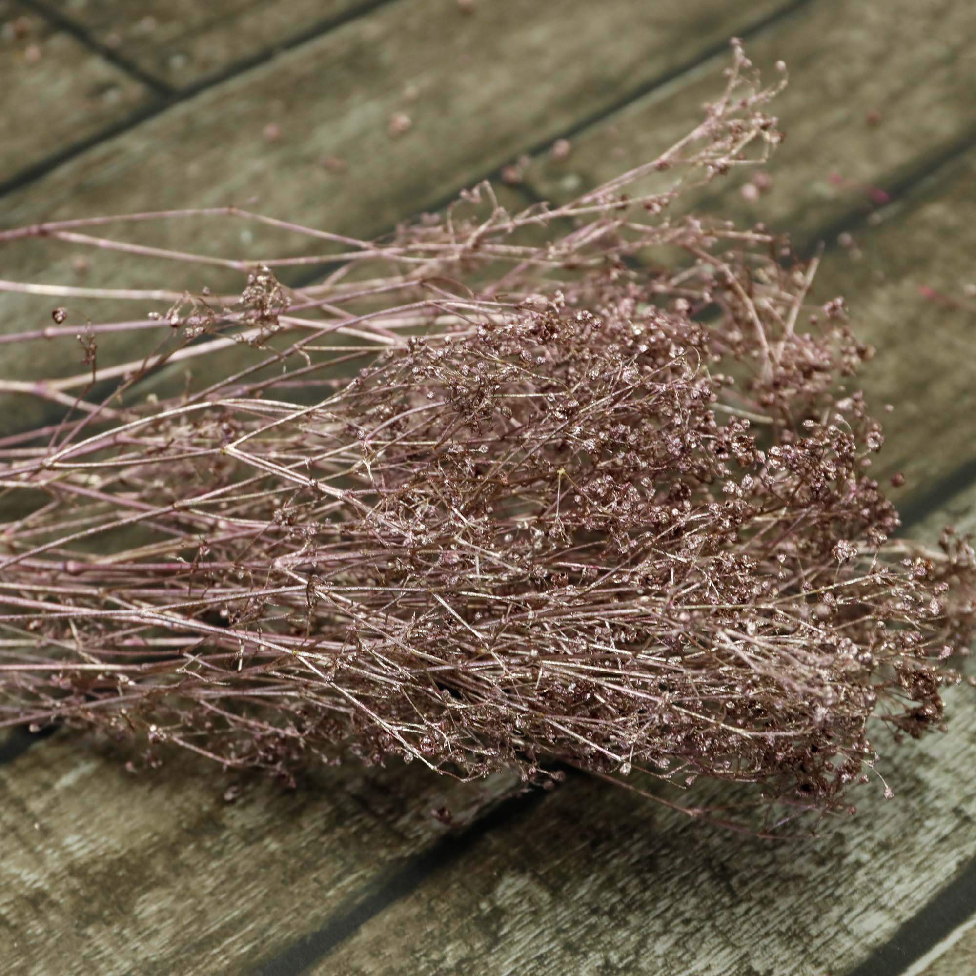 Gypsophile séché rose doré (5 tiges)