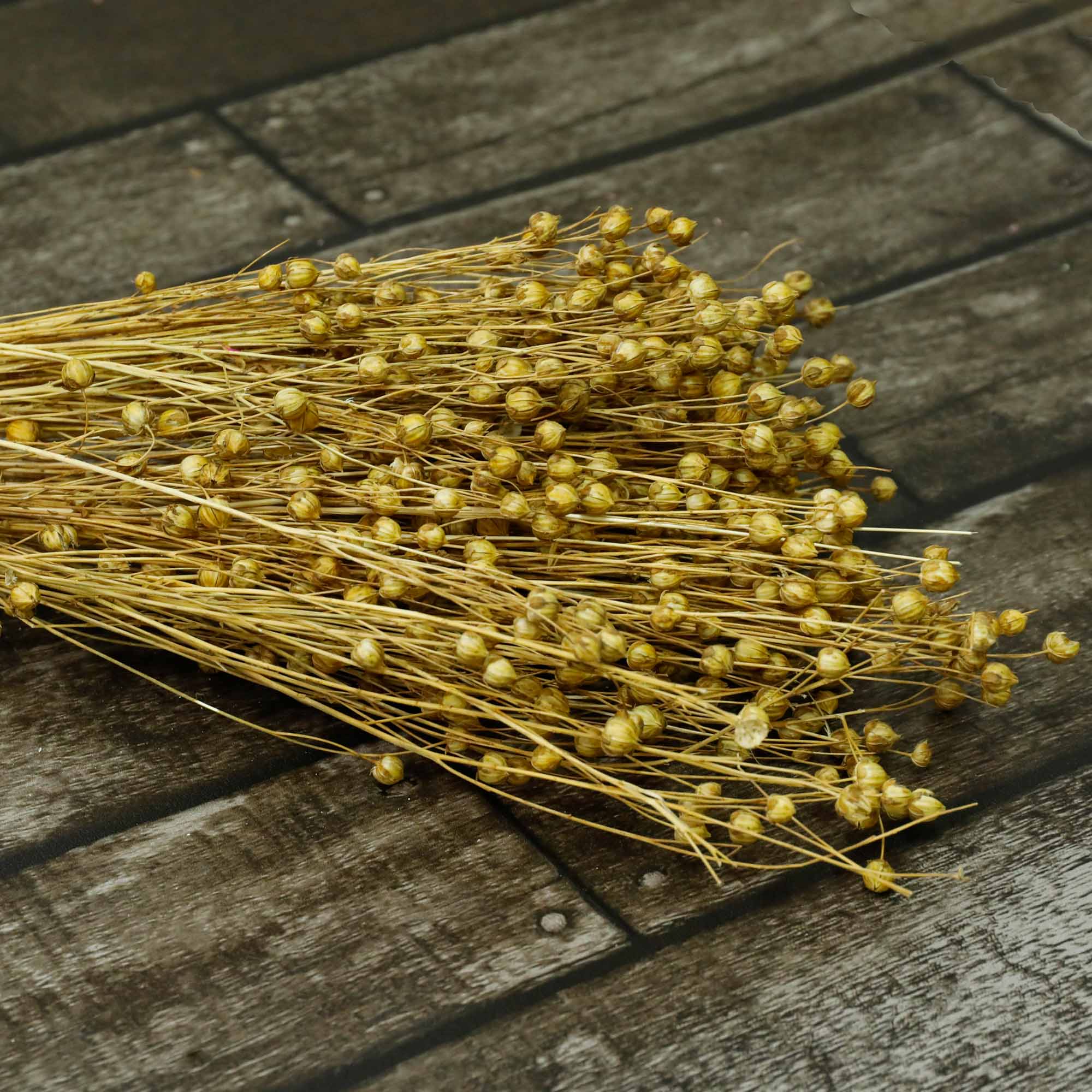 Lin séché naturel (100g)