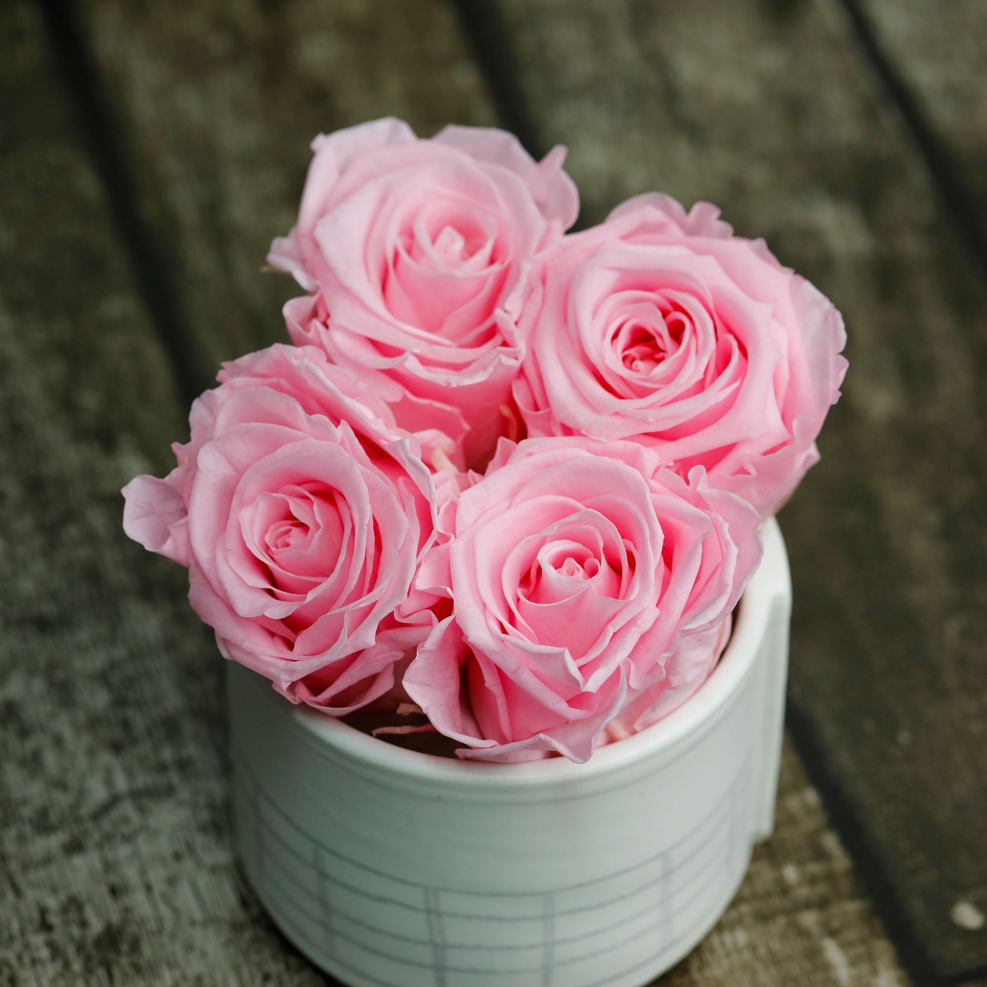 Roses naturelles stabilisées rose (par 6)