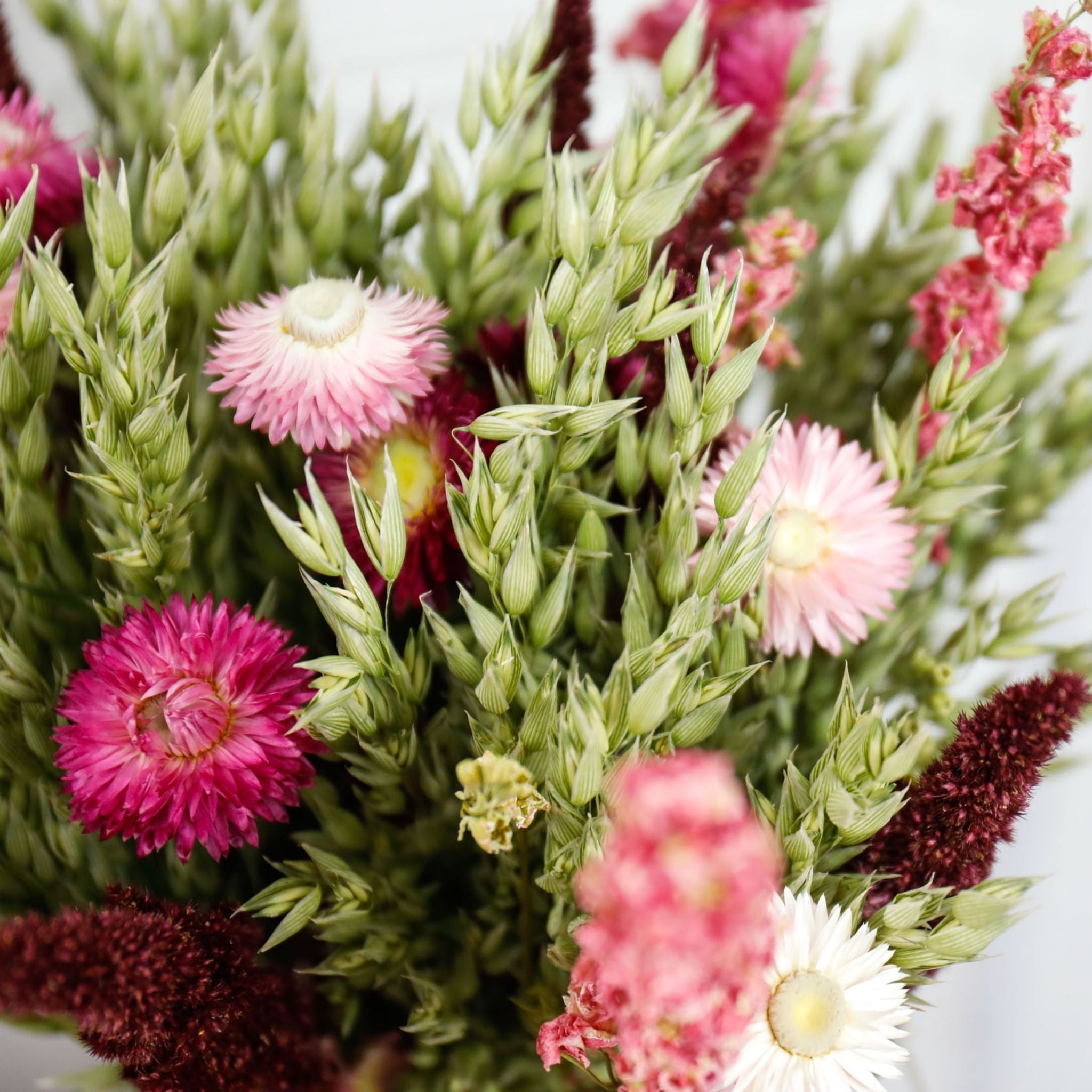 Bouquet séché Nina (livraison comprise)