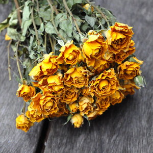 Rose branchue séchée jaune - Fleurs séchées
