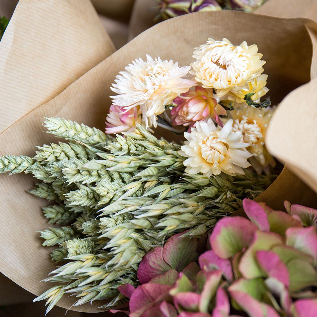 Bouquet séché (blé, barbu et rhodanthe)