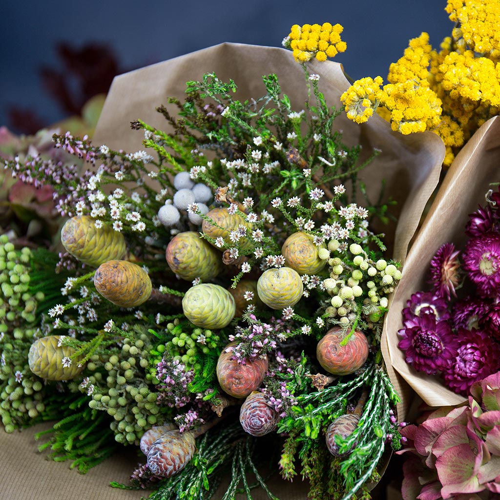 Bouquet séché Leucadendrons