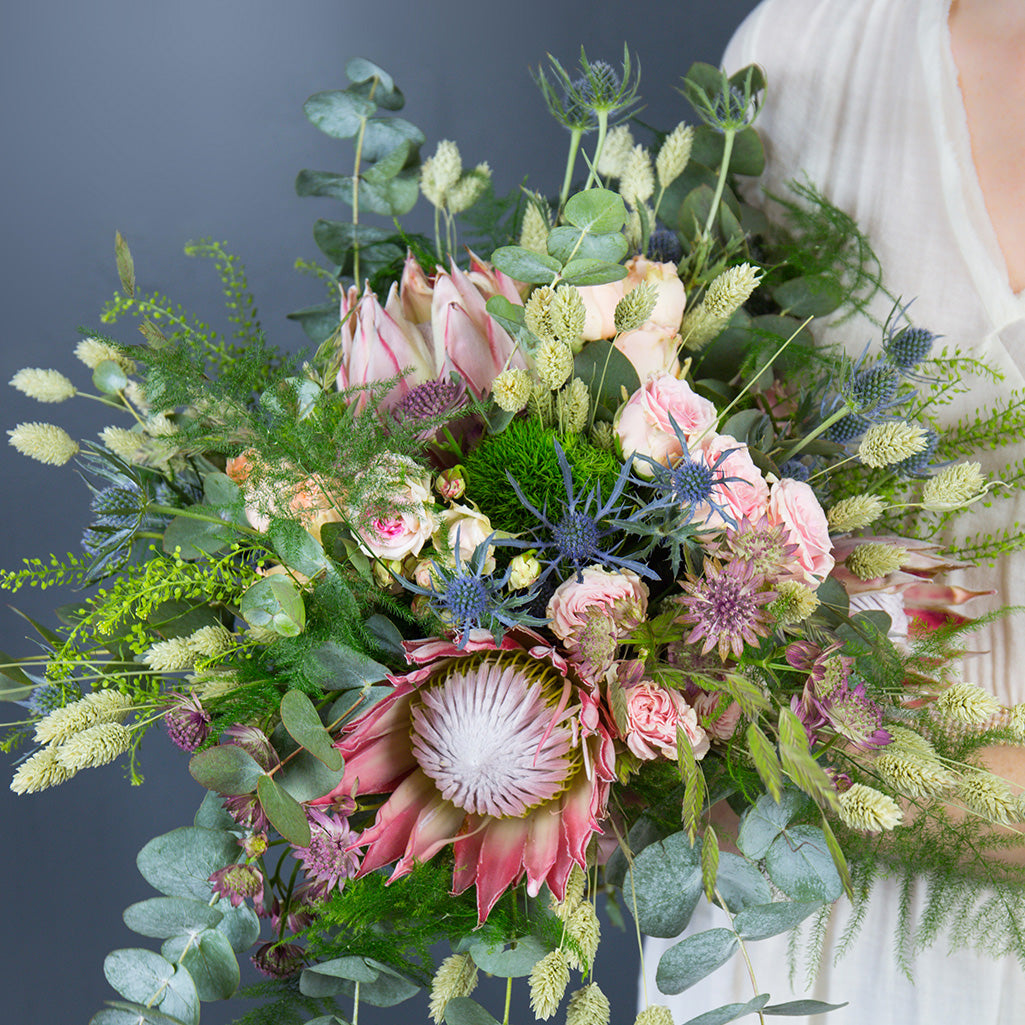 Protea King (5 tiges)
