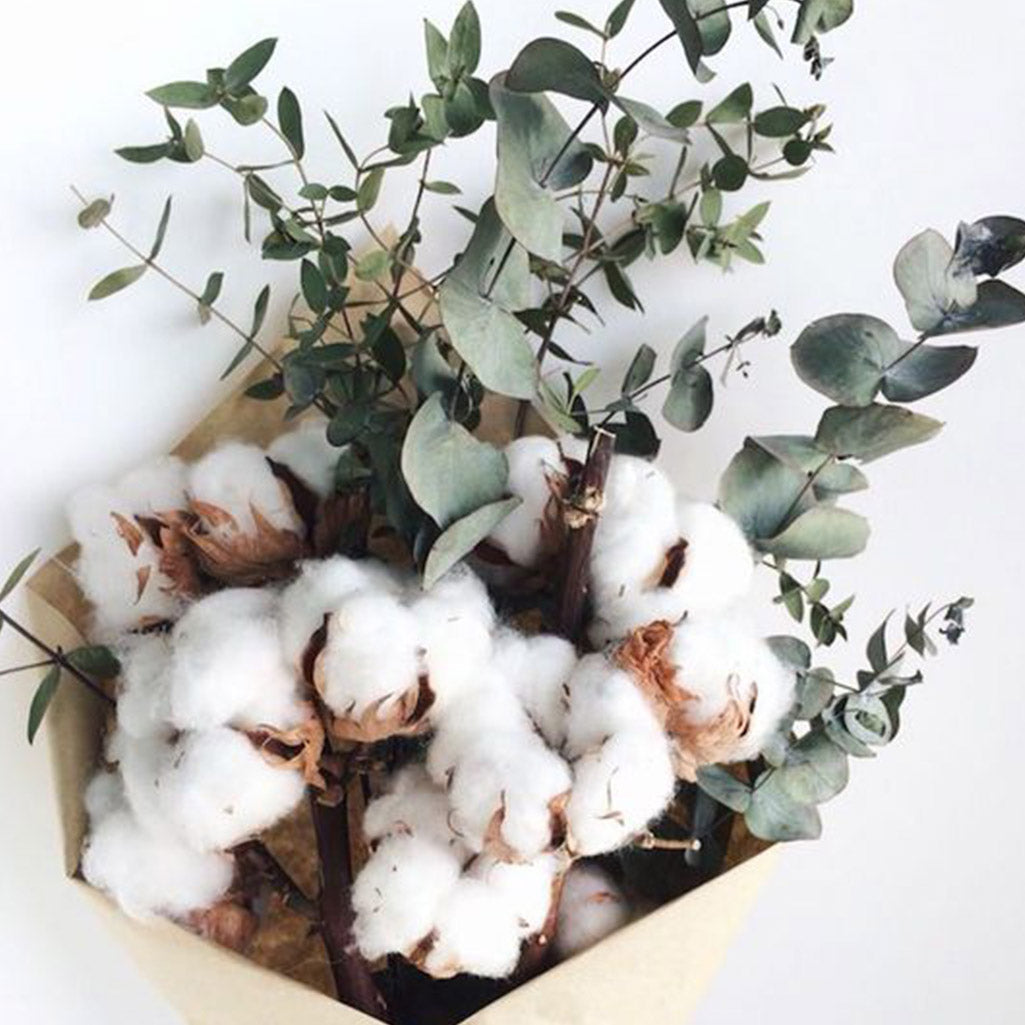 Kit DIY Noël Eucalyptus, coton