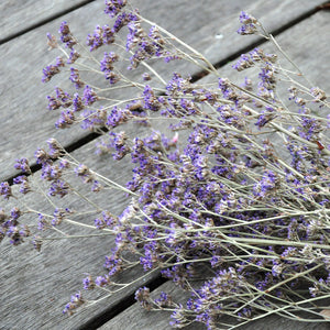 Limonium violet séché (5 tiges)