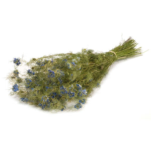 Nigelle séchée bleue (100g)