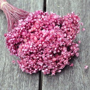 Marcela rose séchée (50g)