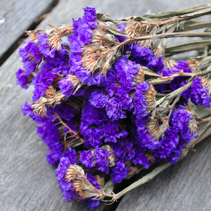 Statice séché bleu - fleurs séchées