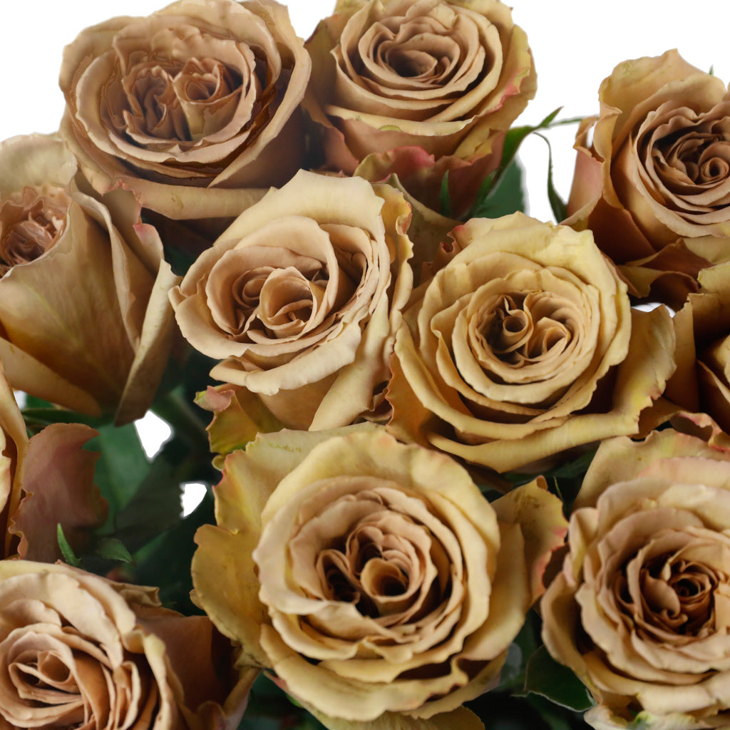 Roses Toffee (10 tiges)